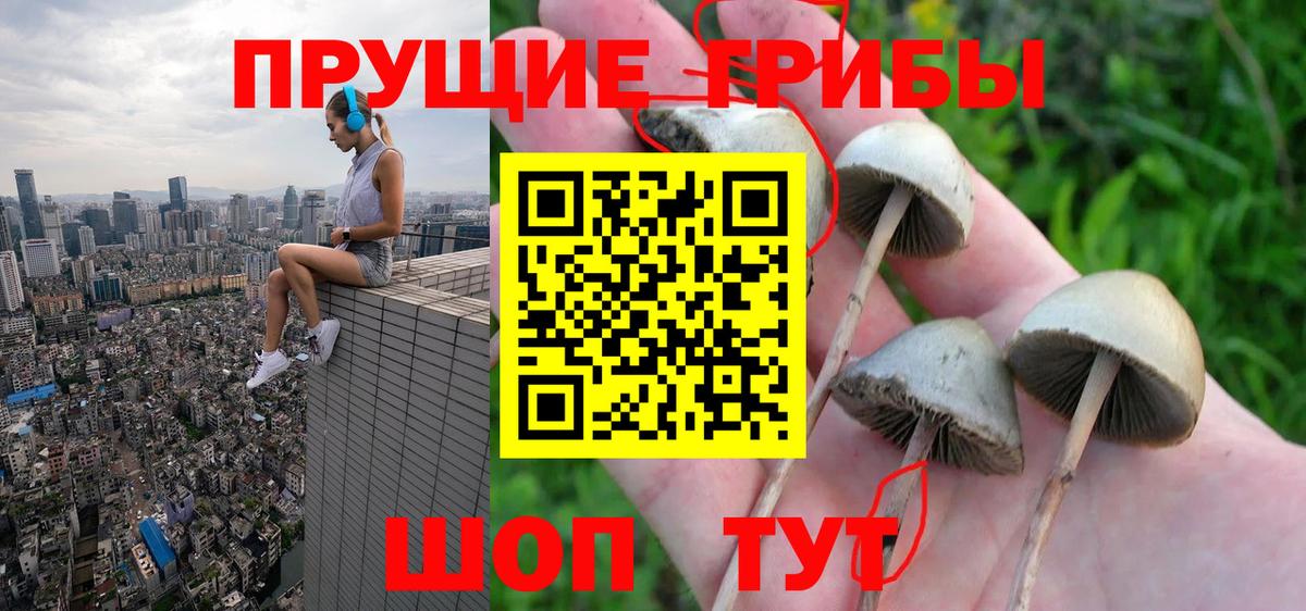 Псилоцибиновые грибы Psilocybe  Галлюциногенные грибы Psilocybe  Вход с VPN  Балтийск 